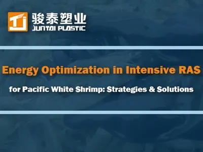 Optimizacija energije u intenzivnom RAS za pacifičke bijele račiće: strategij...